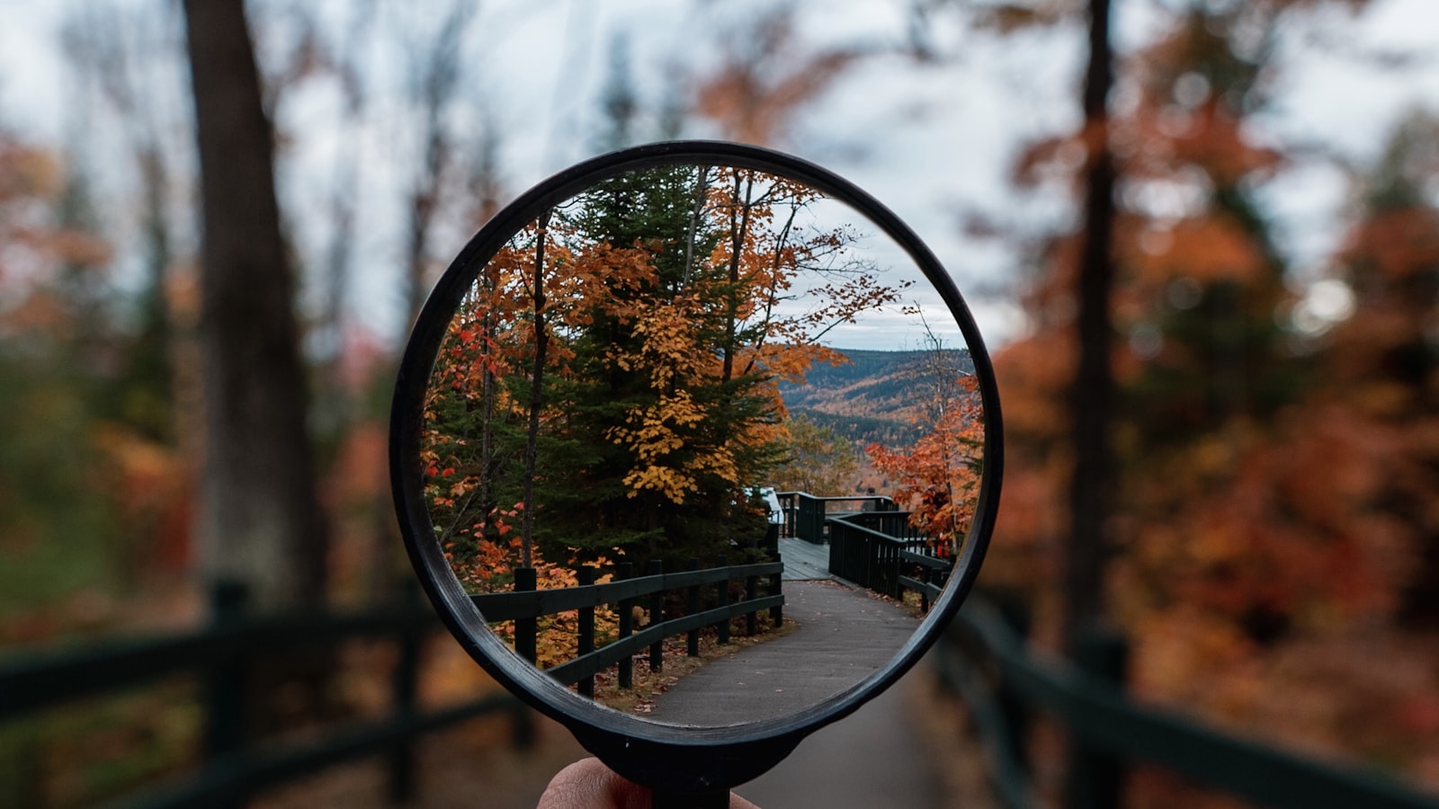 A magnifying glass symbolizing AI detection scrutiny applied to a college essay